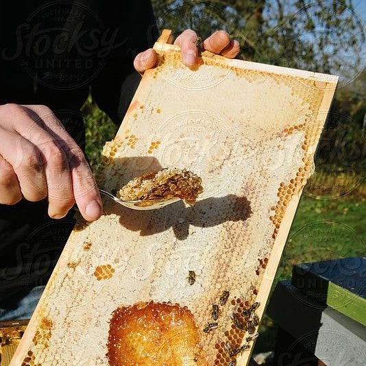 Mashing of Honey